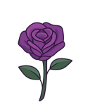 🌐 Where to Find Me